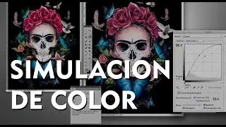 Color separation: 8-ink color simulation - Textile screen printing
