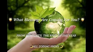 🌟 What Blessings Are Coming For You? 🌟 FROM NOW UNTIL DECEMBER 🌙ALL ZODIAC SIGNS 🌙 ©️ Original.