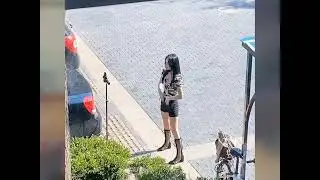 Cats witness beautiful girl dance on tiktok. Korean BJ net idol!