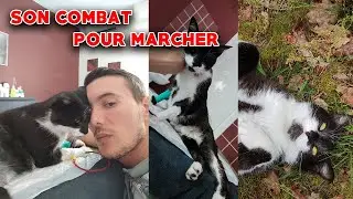 PACHA 4 ans PERCUTÉ Par un CHAUFFARD ! 😢 ( la vidéo la plus dure a faire de ma vie..)