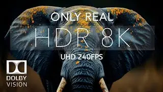 Dolby Atmos - 8K HDR 120FPS Dolby Vision