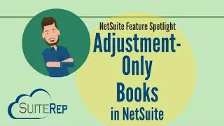 The NetSuite Adjustment Only Book Feature