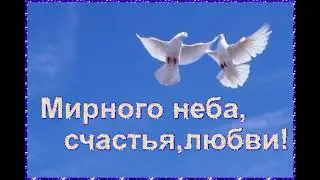 Клип - призыв  " Мирное небо"