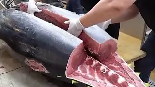 A fish more expensive than a Rolls Royce 🐠🚙🤯Would you try it? 🤷🏽‍♂️