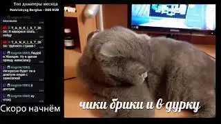 Ботан с плазмаганом против римлян в юбках | Fallout: New Vegas