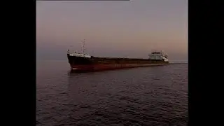 Села чайка на клотик ...