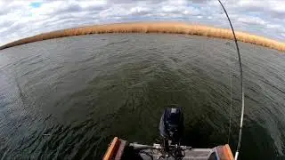 РЫБАЛКА . НА ЛЯГУШКУ двойные дуплеты