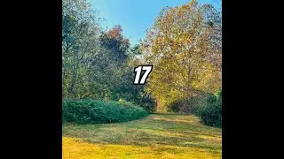 Maxed – 17 (Official Audio)