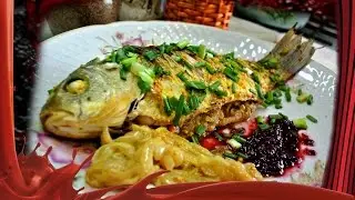 Prescription juicy carp on onion pillow.