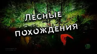 ВАРАН ТИМОХА (The Forest)