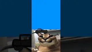 Ехал Floppa через Floppa 