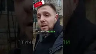 Осень в душу закралась #мем #мемы #юмор