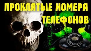 звоню на страшные номера.Последняя часть страшных номеров..