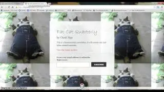 TinyLetter Tutorial Blog