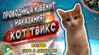 😥КОТ ТВИКС🔮ТАРО⭐️ЛЕНОРМАН