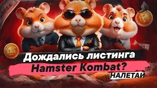Hamster Kombat Дождались листинга? // КАК ВЫВЕСТИ ДЕНЬГИ с Hamster Kombat
