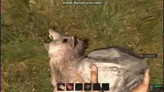Rust Gameplay - Part 2