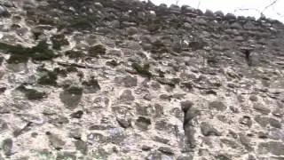 ბოჭორმის ციხე  Bochorma castle