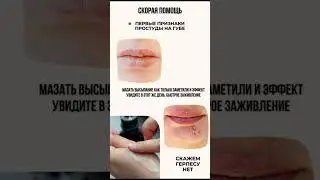 Легендарный бальзам широкого спектра действия БЕЗ ХИМИИ
