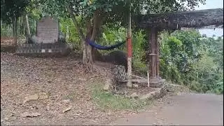 pintu masuk ke kampung dukuh cikelet garut #kampungdukuh #kampungadat #Silsilahkampungdukuh