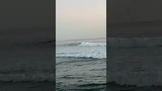 Filmed this after starting the laundry wash cycle + before catching a few head-high waves~ #surfing