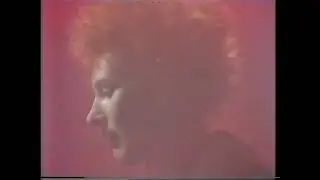 Eirin Peryglus - Y Dyn Newydd (1987)