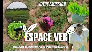 ESPACE VERT N''4:🍃 Rencontre avec BABA SONKO: L'Agriculteur qui Inspire la Casamance.