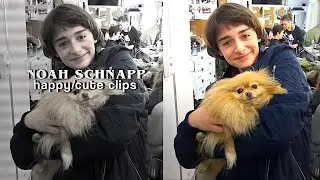 noah schnapp happy/cute clips | scenepack
