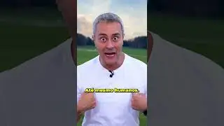 Tamanduás podem ser ASSUSTADORES