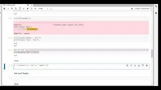 Basic Numerical Methods - JupyterLab, Notebook