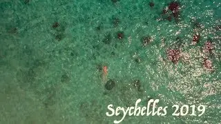 Seychelles 2019