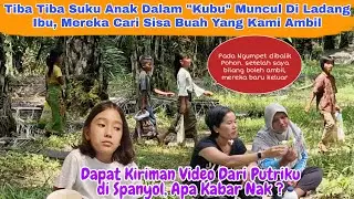 Lagi  Panen Diladang, Anak Anak Suku Pedalaman Muncul, Lihat Kami Langsung Ngumpet dibalik pohon