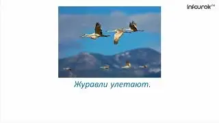 Главные и второстепенные члены предложения   Русский язык 2 клас