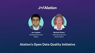 Alation Brief — Open Data Quality Initiative