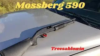 Mossberg 590