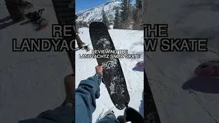 Reviewing the Landyachtz SNOW SKATE!