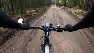 Самоизоляция в лесу, 22.04.2020. Лисий Нос, Сестрорецкое болото.