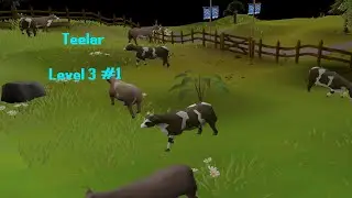 OSRS - Level 3 Skiller Progress Video #1