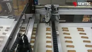 Chocolate Biscuit Packaging - Sewtec Automation