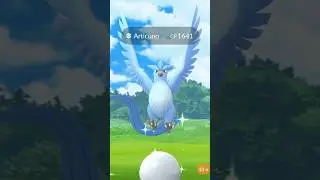 Articuno Best Counters, 100 % IVs, Shiny Potential & More In Pokémon GO! 