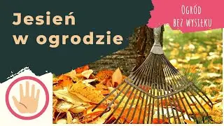 5 sposobów na jesienny ogród bez wysiłku.