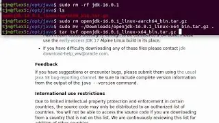 Install OpenJDK 16 Ubuntu