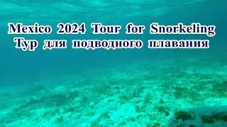 2024 Mexico. Snorkeling. Part-8
