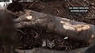 3 июня 2023 г.