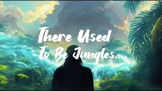 Jungles - Cienfue