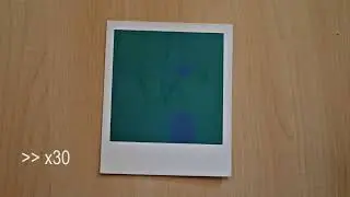 Timelapse: How a Polaroid Image develops
