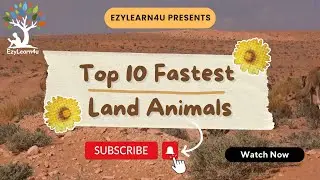 Top 10 Fastest Land Animals | #cheetah #pronghorn  #lion