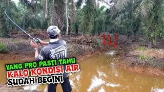 CAN'T BELIEVE THE SPOT IS BACK TO HOW IT USED TO BE // SNAKEHEAD FISHING