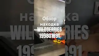 Обзор Находка Wildberries артикул 199801891 