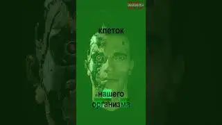 Фрэнсис Эшкрофт «Искра жизни. Электричество в теле человека»  #книги #научпоп #nonfiction